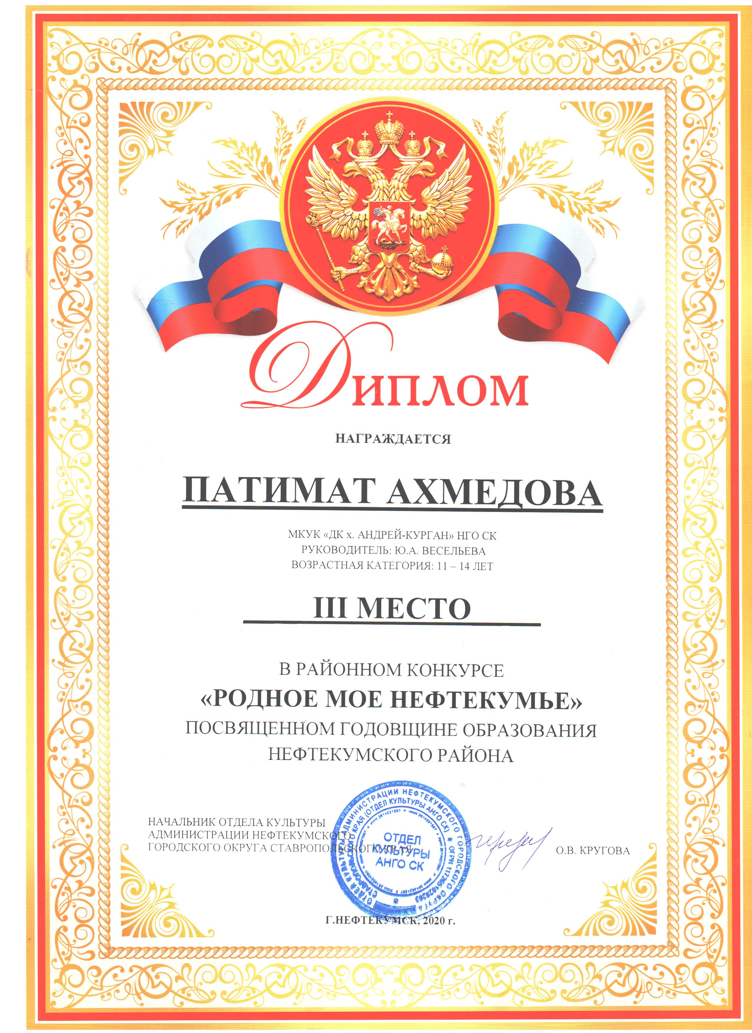 diplom2020-11-11 2