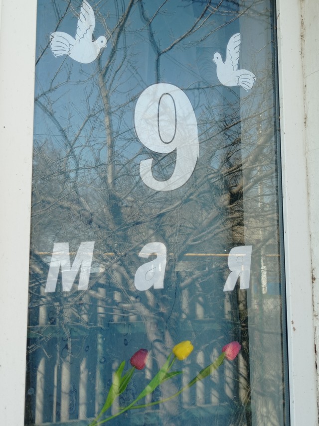 Image00008